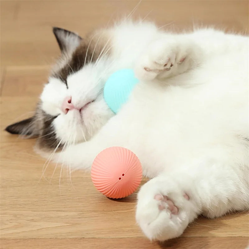 Elektronischer Interaktiver Spielball für Hunde & Katzen – USB Wiederaufladbar