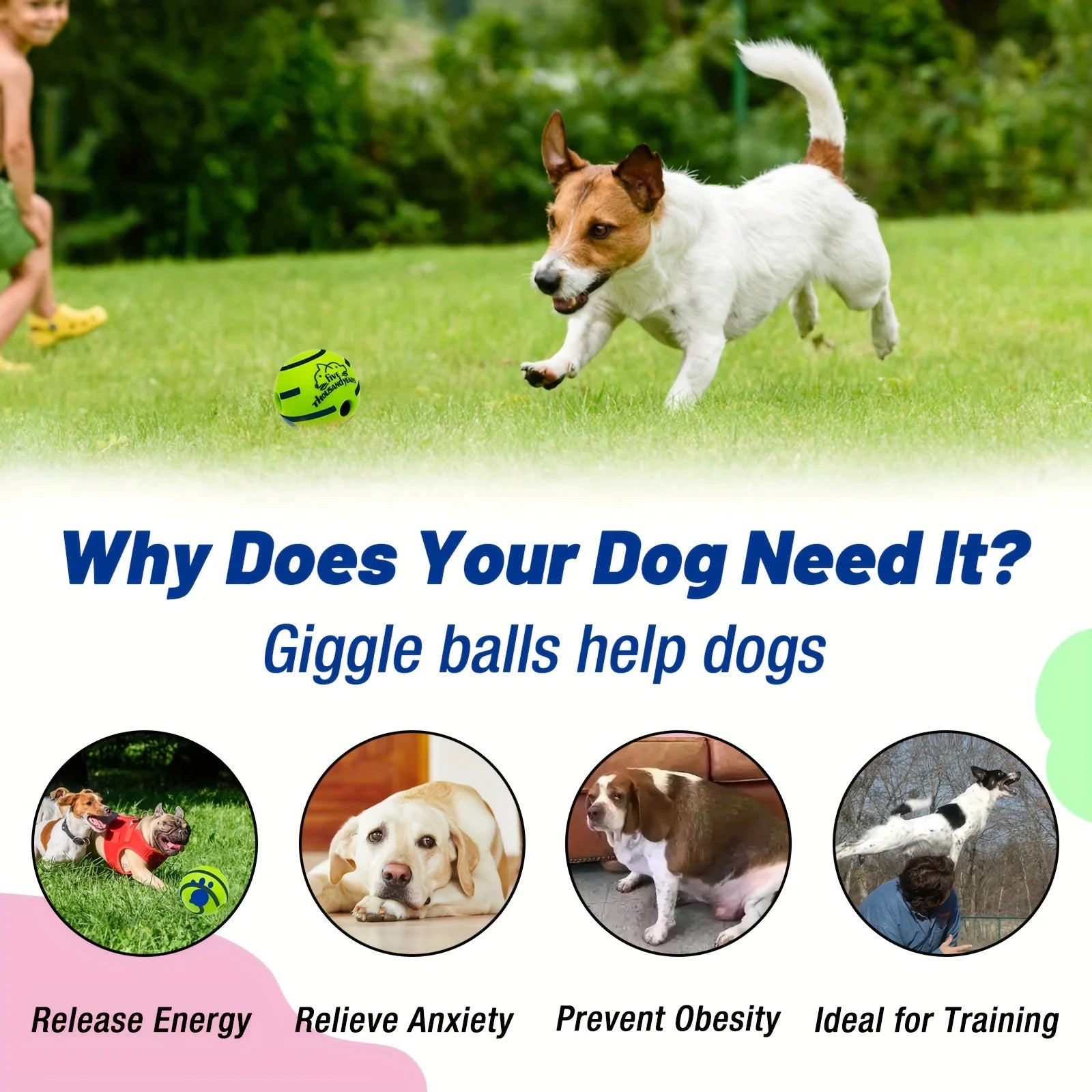 Lustiger interaktiver Hundespielball – Spaß & Bewegung