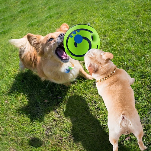 Lustiger interaktiver Hundespielball – Spaß & Bewegung