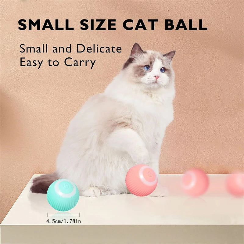 Elektronischer Interaktiver Spielball für Hunde & Katzen – USB Wiederaufladbar