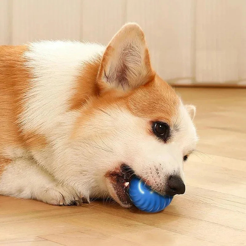 Elektronischer Interaktiver Spielball für Hunde & Katzen – USB Wiederaufladbar
