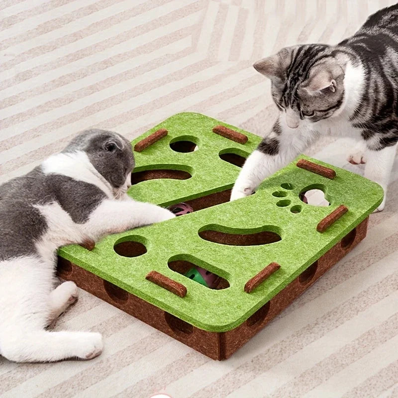 Schluss mit Langeweile bei deiner Katze 🐱