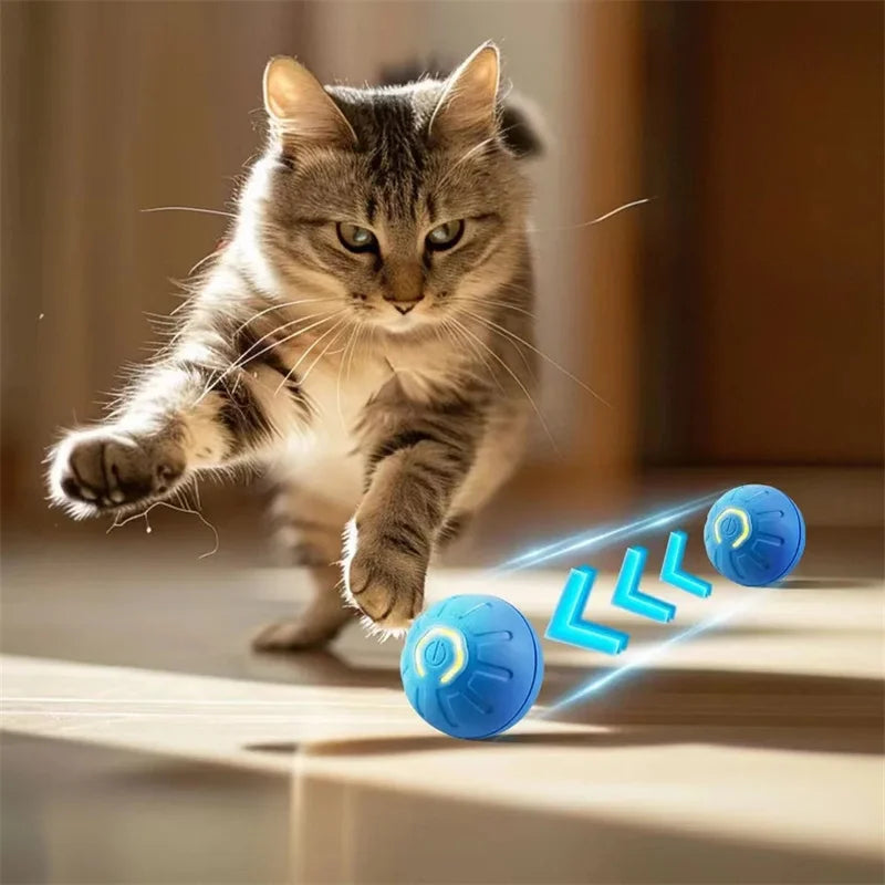 Elektronischer Interaktiver Spielball für Hunde & Katzen – USB Wiederaufladbar