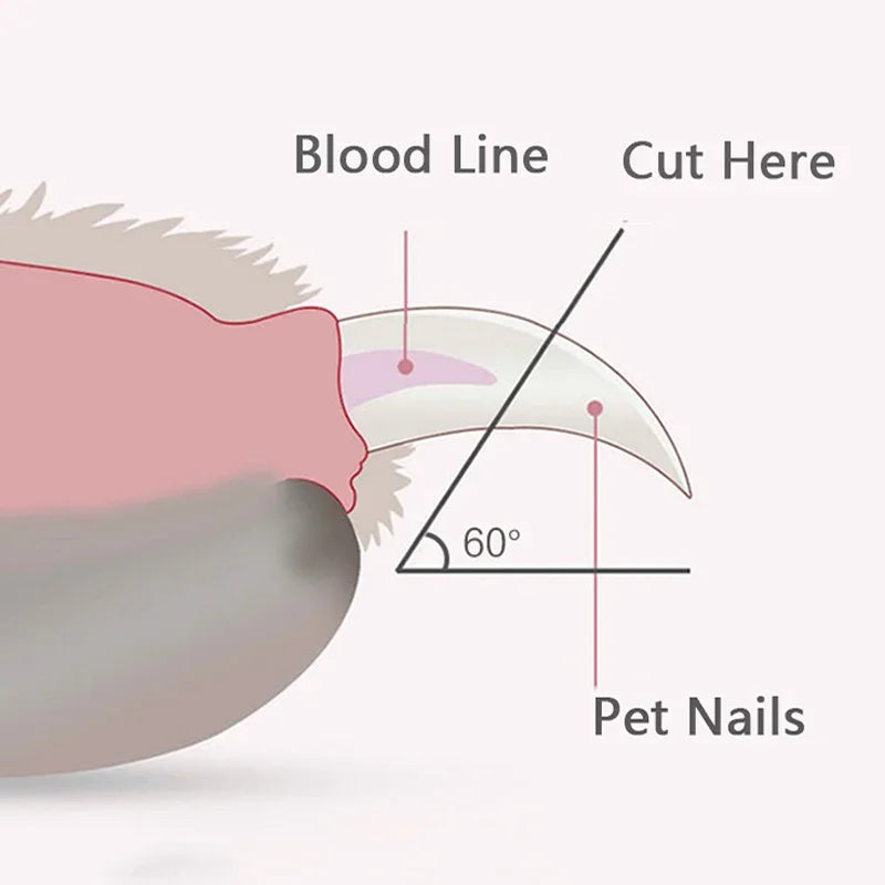 Haustier Nagelknipser mit LED Licht – Sicher & Einfach für Hunde & Katzen