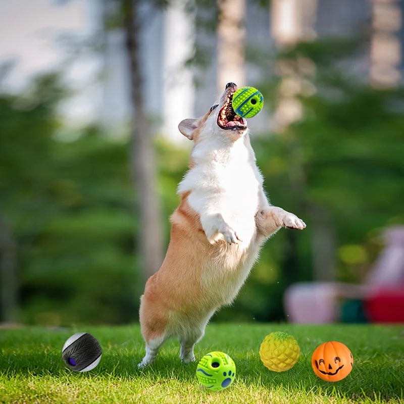 Lustiger interaktiver Hundespielball – Spaß & Bewegung