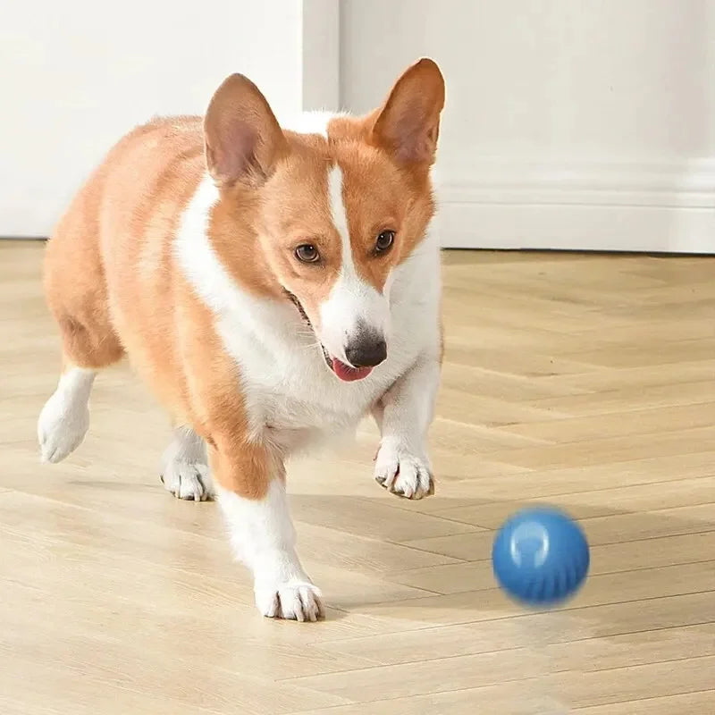 Elektronischer Interaktiver Spielball für Hunde & Katzen – USB Wiederaufladbar