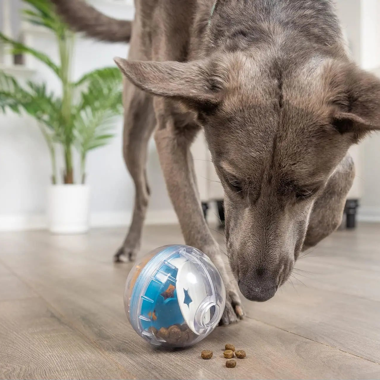 IQ Treat Ball – Interaktives Spielzeug für Hunde & Katzen, Snackball, Mentale Stimulation, Spaß & Bewegung