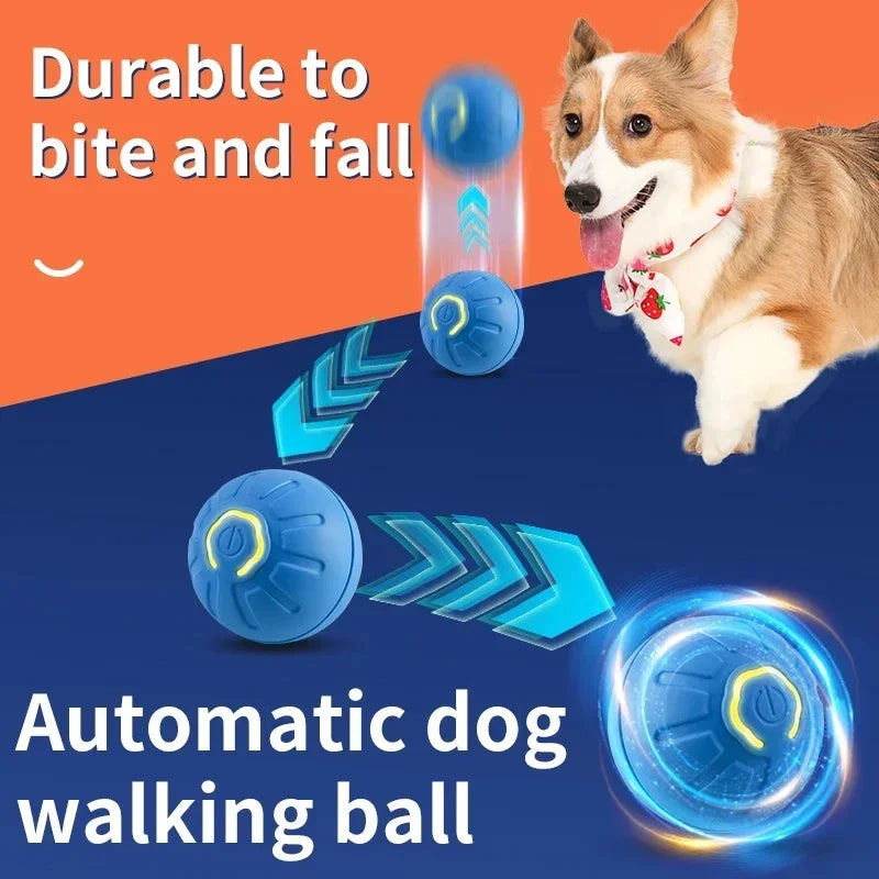 Elektronischer Interaktiver Spielball für Hunde & Katzen – USB Wiederaufladbar