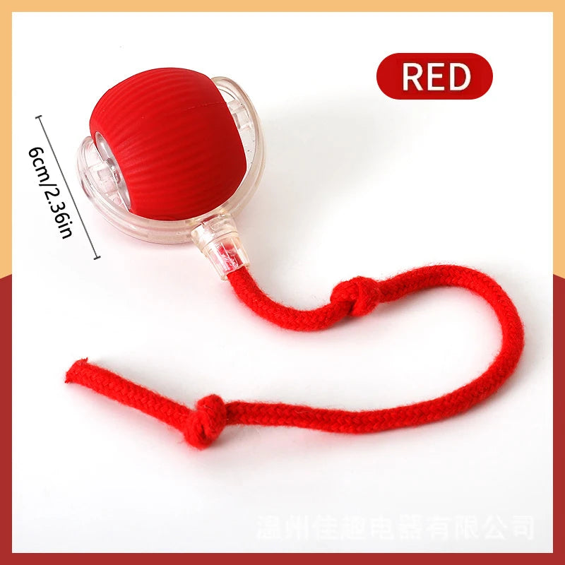 Elektronischer Interaktiver Spielball für Hunde & Katzen – USB Wiederaufladbar