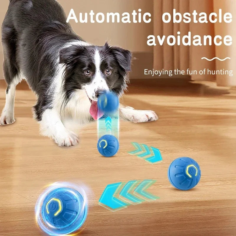 Elektronischer Interaktiver Spielball für Hunde & Katzen – USB Wiederaufladbar