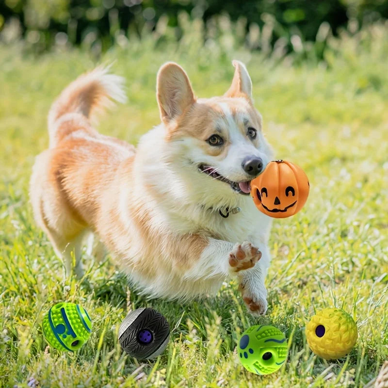 Lustiger interaktiver Hundespielball – Spaß & Bewegung