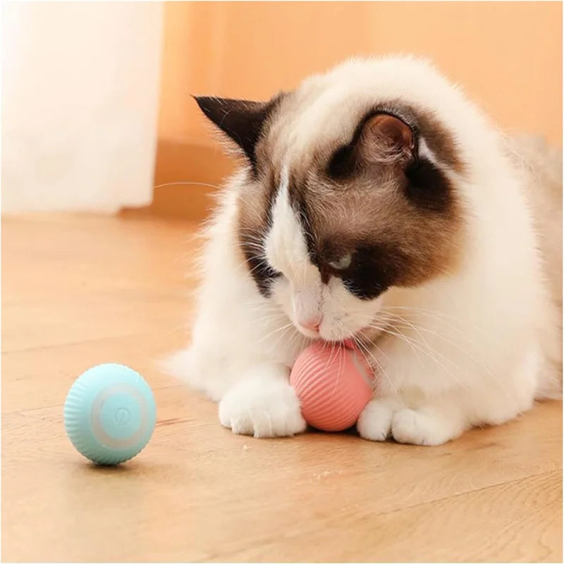Elektronischer Interaktiver Spielball für Hunde & Katzen – USB Wiederaufladbar