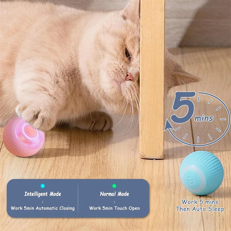 Elektronischer Interaktiver Spielball für Hunde & Katzen – USB Wiederaufladbar