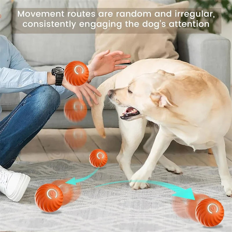 Elektronischer Interaktiver Spielball für Hunde & Katzen – USB Wiederaufladbar